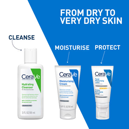 Moisturizer Cream For Dry Skin With Ceramides & Hyaluronic Acid